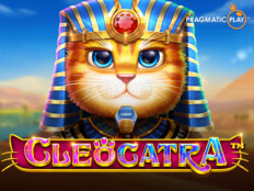 Cool cat casino login16